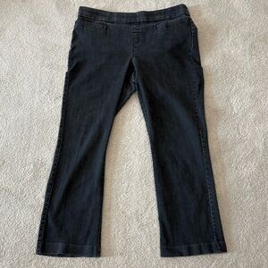 Lee Brand pull-on Straight Leg Elastic Waist Denim Jeans Women 16P